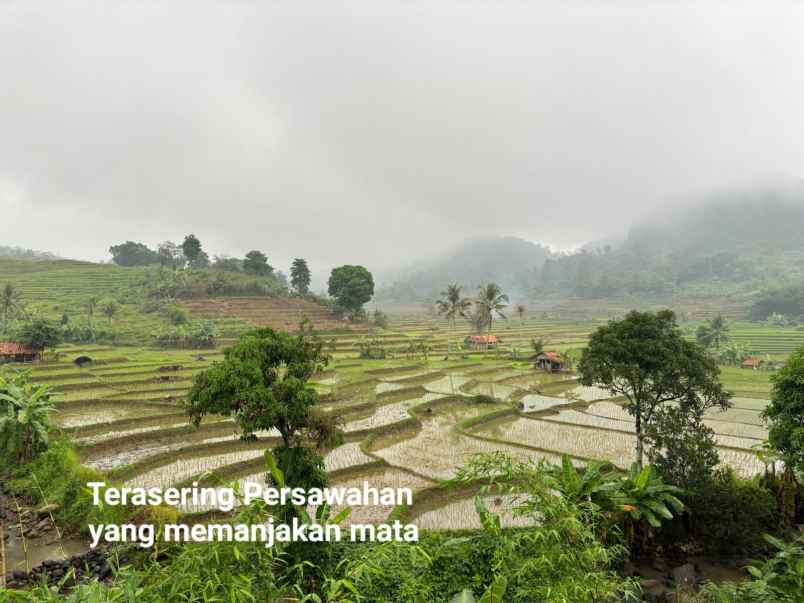 dijual tanah jalan raya tanjungsari