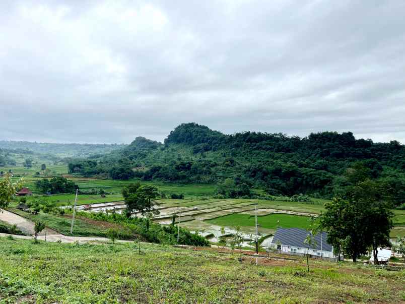 dijual tanah jalan raya transyogi