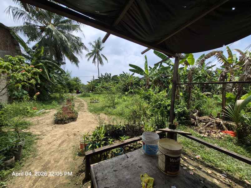 dijual tanah jalan setunggal kelurahan