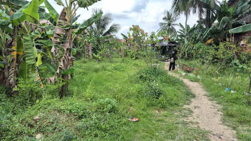 dijual tanah jalan setunggal kelurahan