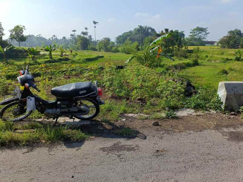 dijual tanah jalan sukasari kabupaten