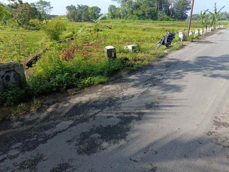 dijual tanah jalan sukasari kabupaten