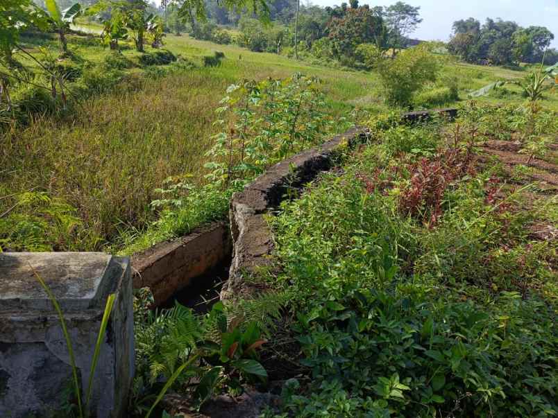 dijual tanah jalan sukasari kabupaten