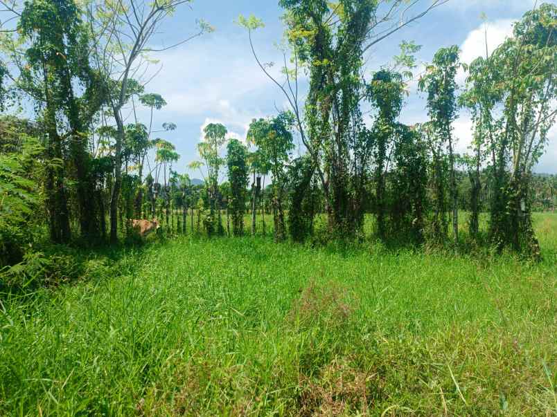 dijual tanah jl inobonto kotamobagu jl