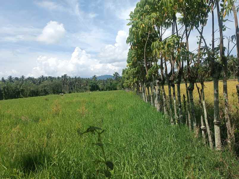 dijual tanah jl inobonto kotamobagu jl