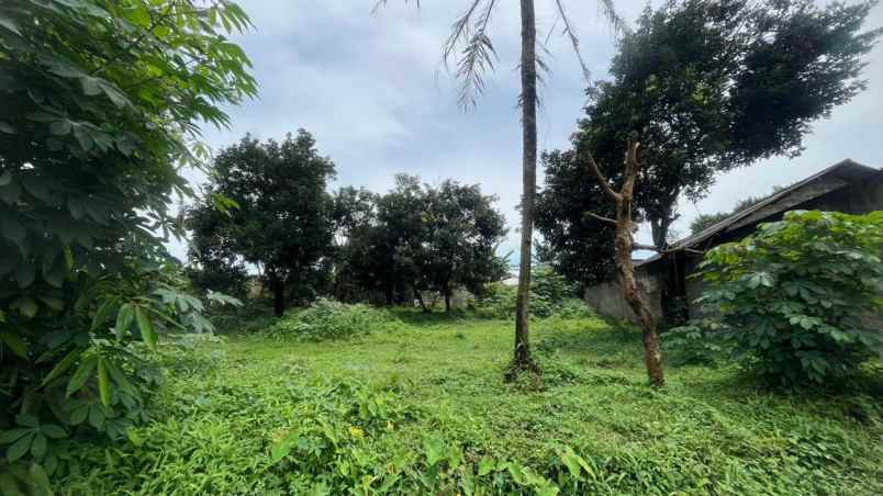 dijual tanah jl raya setu gg benda