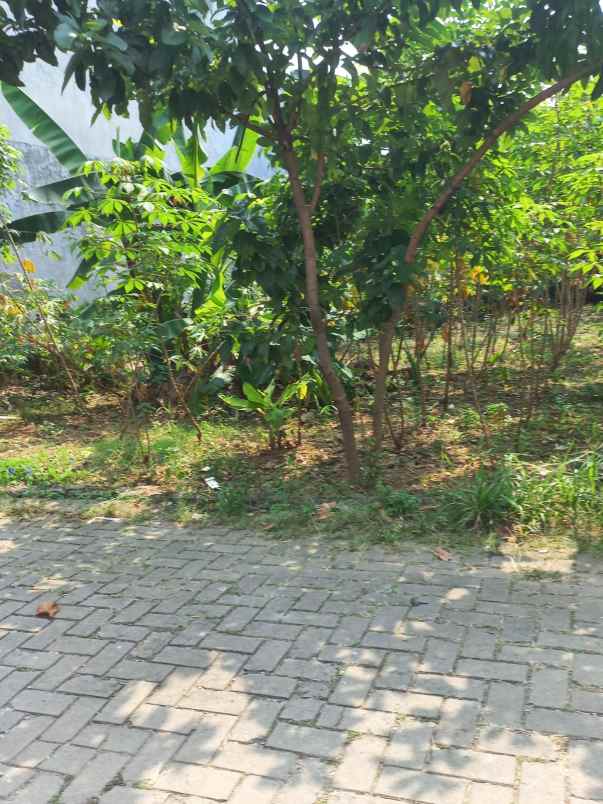 dijual tanah jl serdang beji depok
