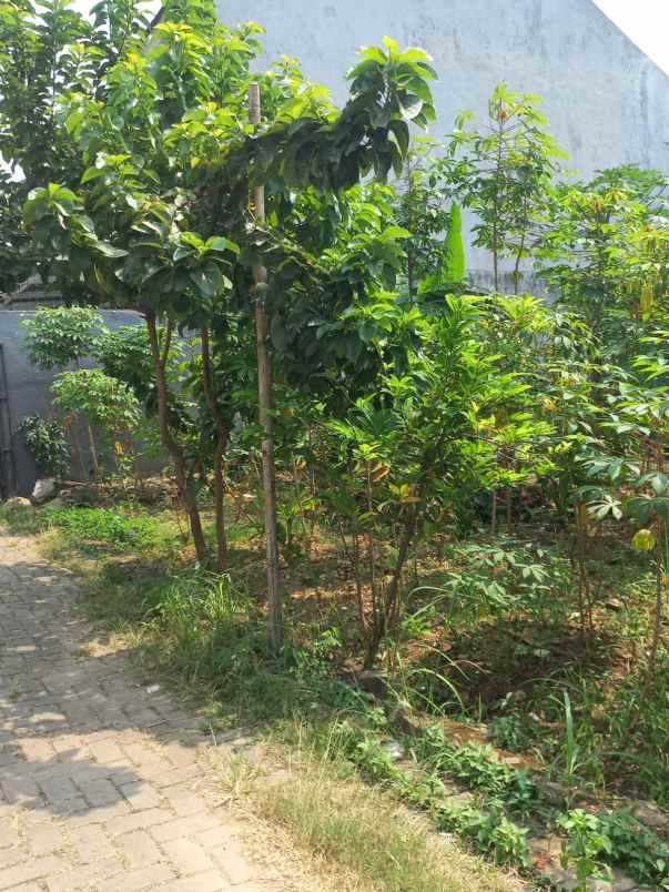 dijual tanah jl serdang beji depok