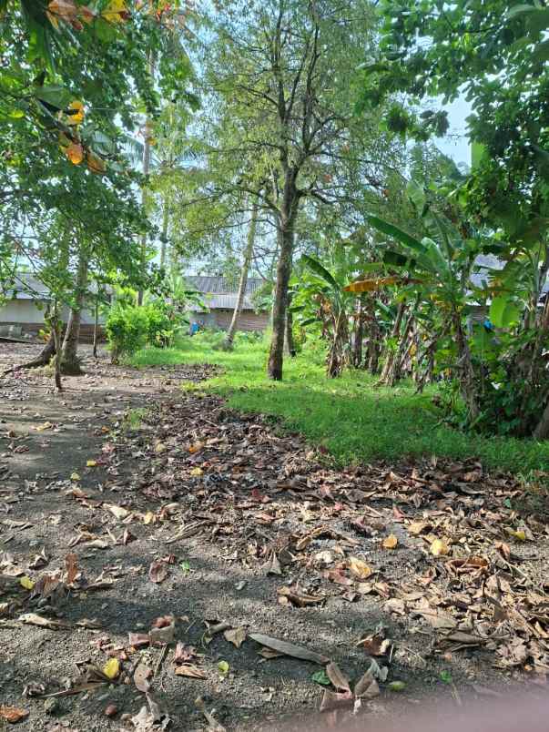 dijual tanah jl sumur mudal rt 01 rw 03