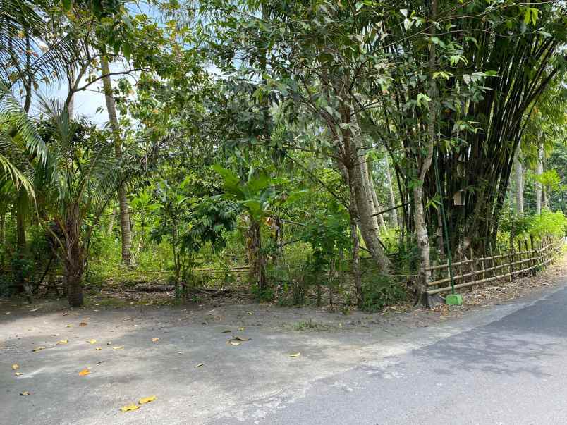 dijual tanah jl untung suropati