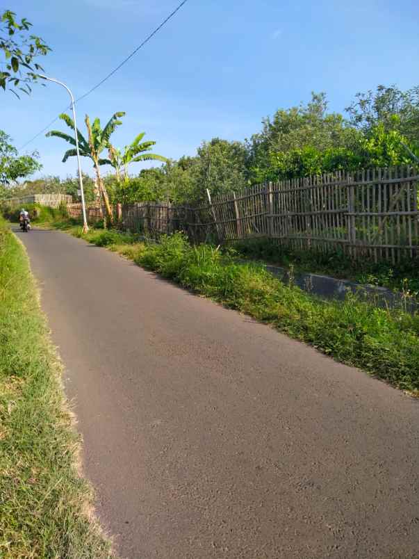 dijual tanah junggo tulungrejo