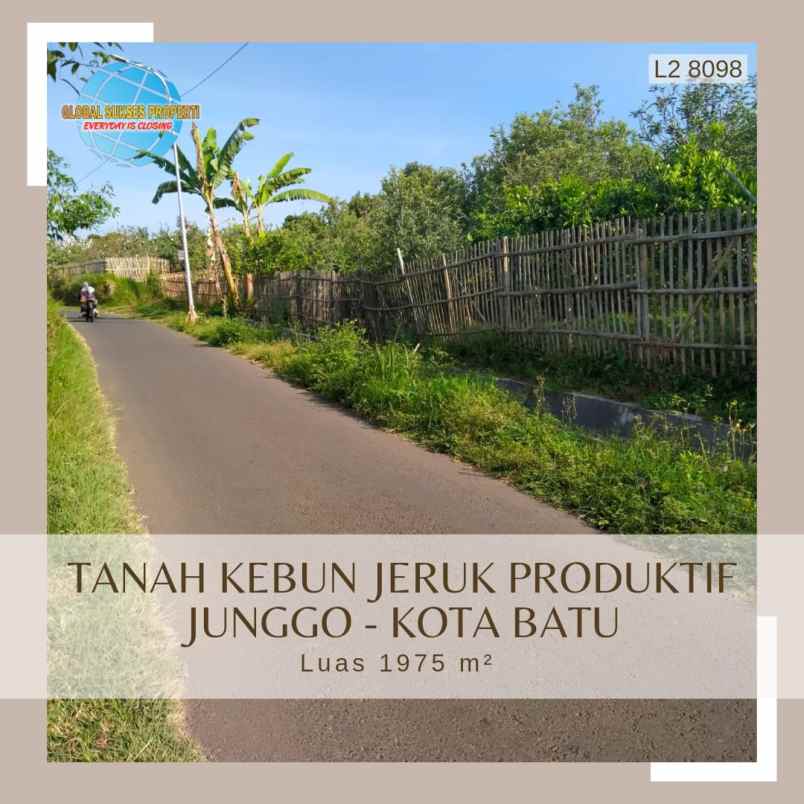dijual tanah junggo tulungrejo
