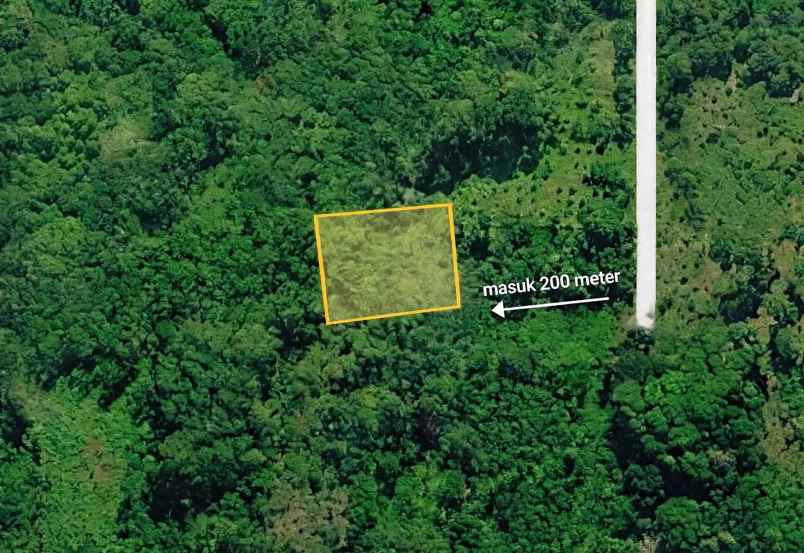 dijual tanah kebon di wonoplumbon mijen semarang