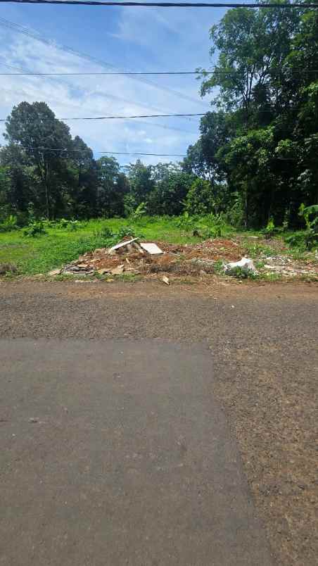 dijual tanah kebon di wonoplumbon mijen semarang