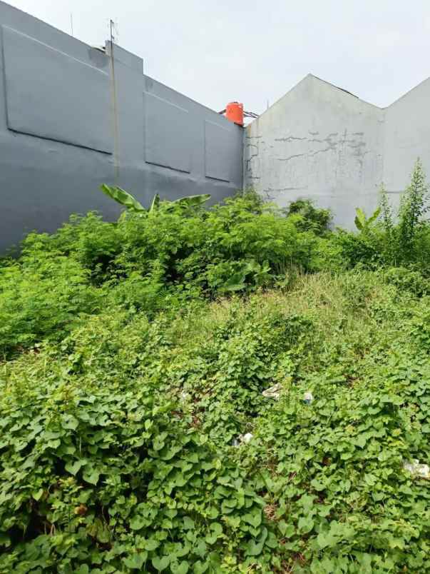 dijual tanah kebon jeruk