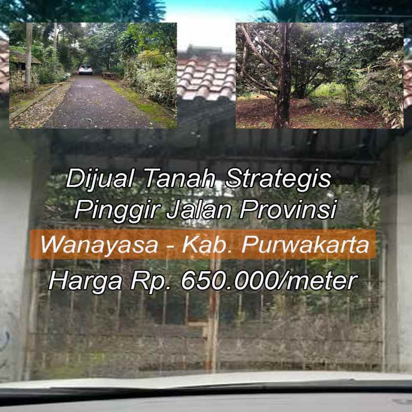 dijual tanah kelurahan taringgul