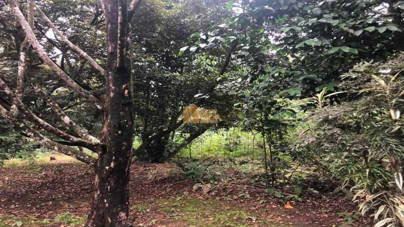 dijual tanah kelurahan taringgul