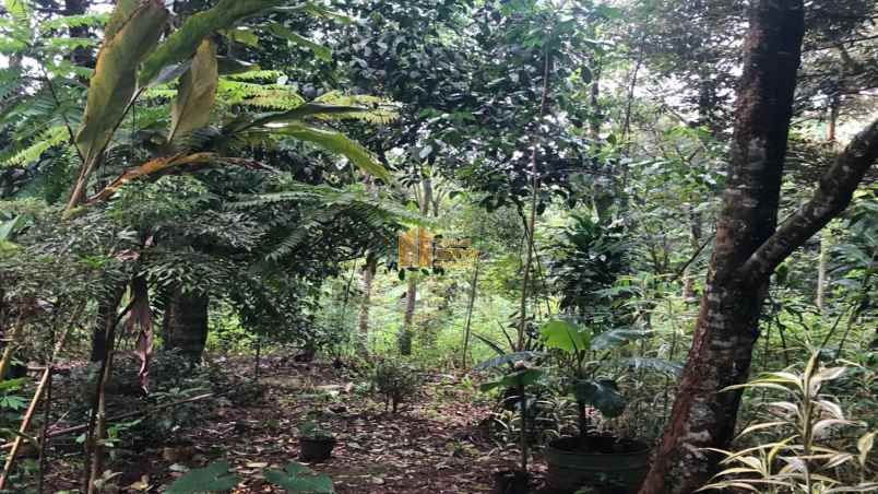 dijual tanah kelurahan taringgul