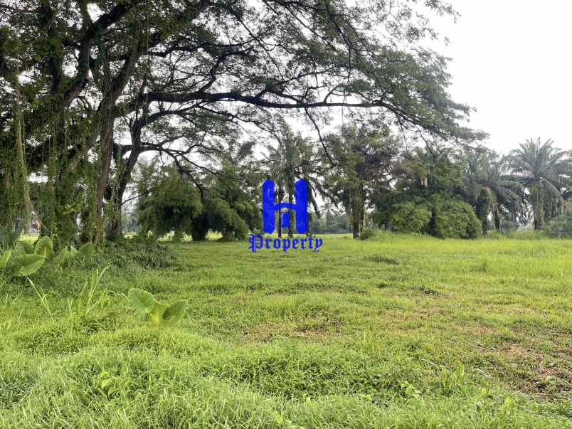 dijual tanah komplek graha helvetia