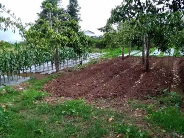 dijual tanah kusuma agrowisata