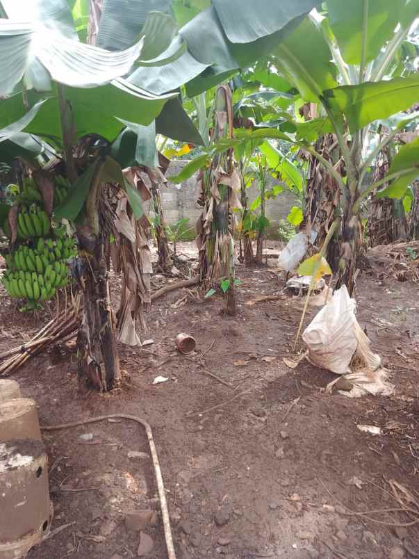 dijual tanah lenteng agung jagakarsa