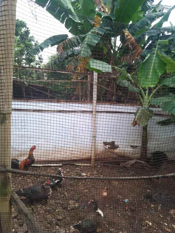 dijual tanah lenteng agung jagakarsa