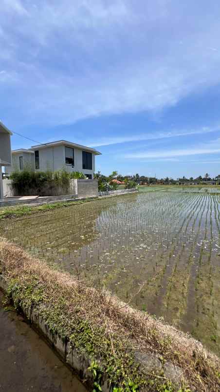 dijual tanah lodtunduh ubud gianyar bali
