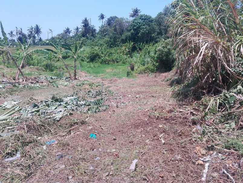 dijual tanah lokasi di sebelah barat pantai cemagi