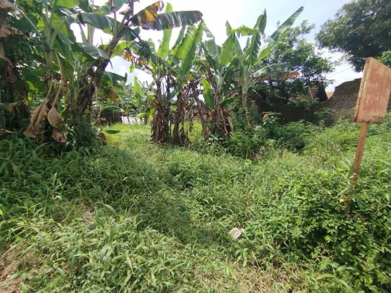 dijual tanah pajang laweyan surakarta