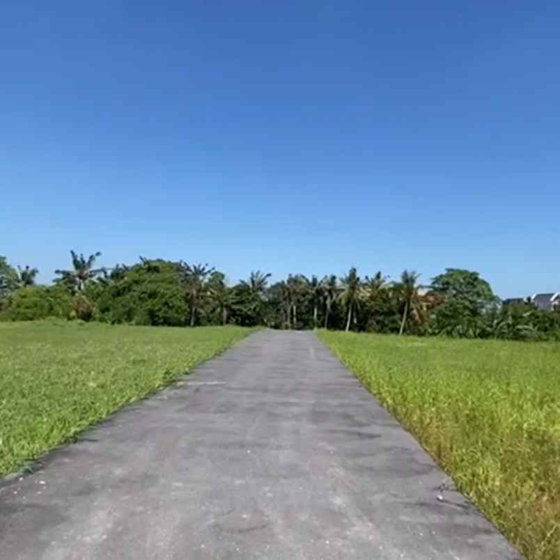 dijual tanah pantai kedunggu