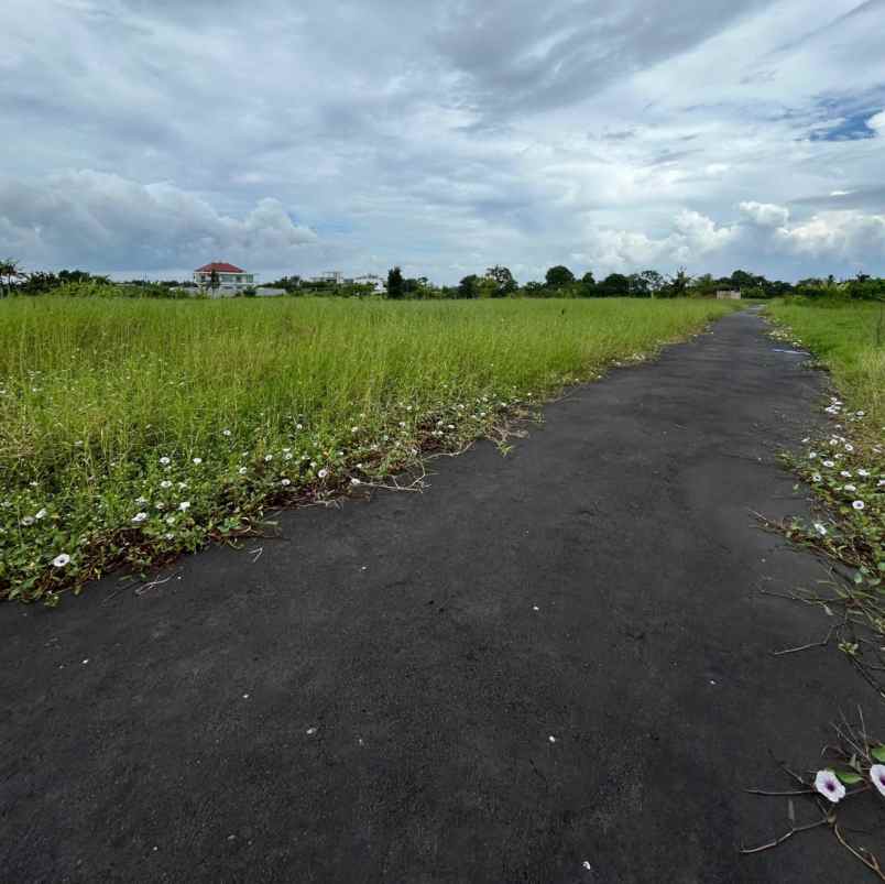 dijual tanah pantai kedunggu