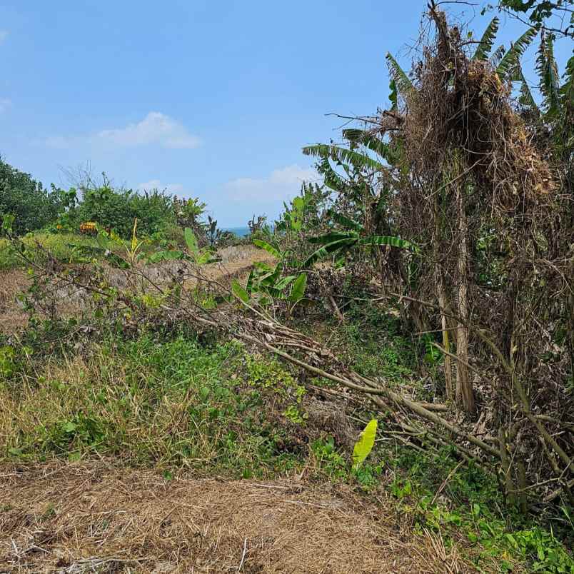 dijual tanah pantai yeh gangga
