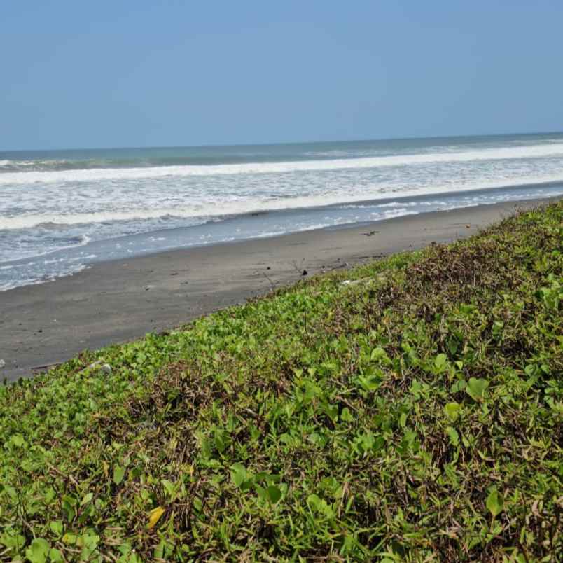 dijual tanah pantai yeh gangga