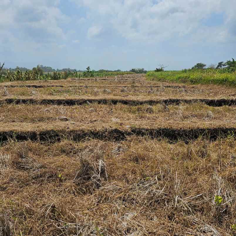 dijual tanah pantai yeh gangga