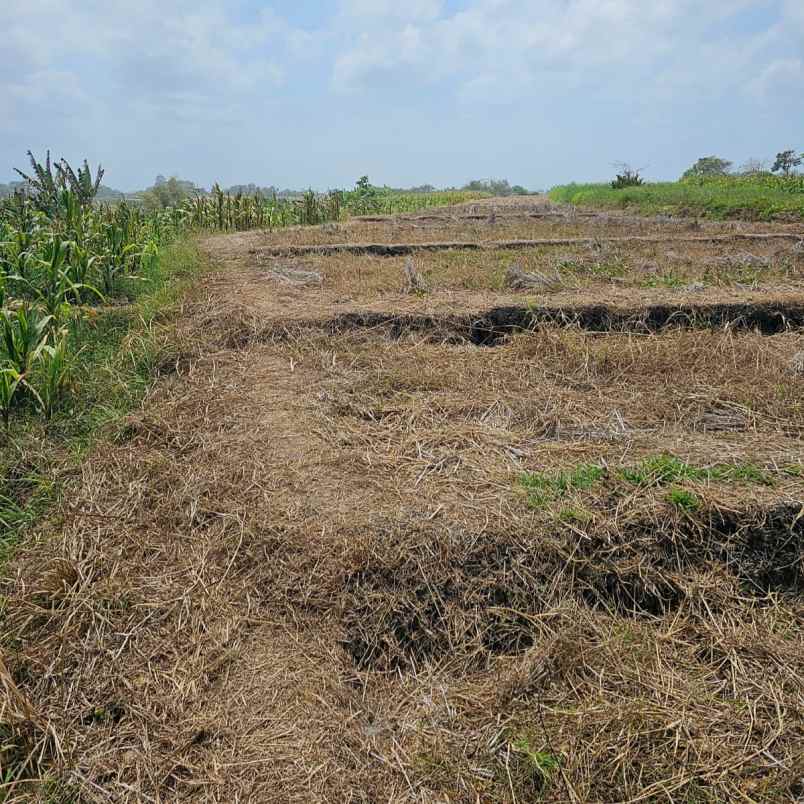dijual tanah pantai yeh gangga