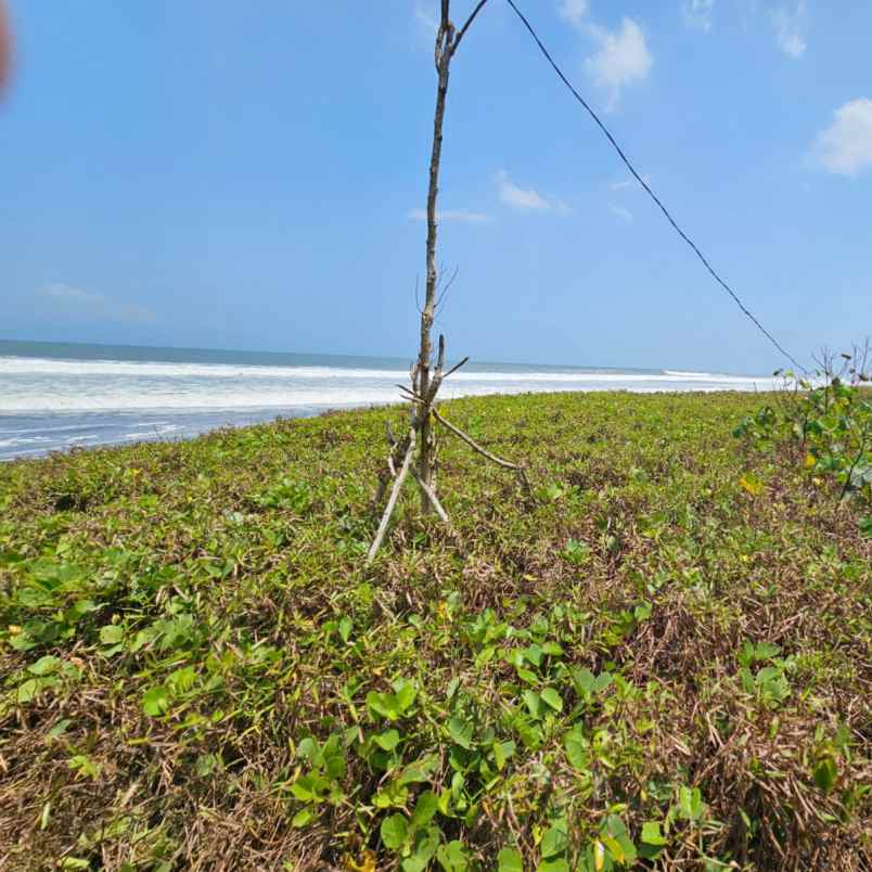 dijual tanah pantai yeh gangga