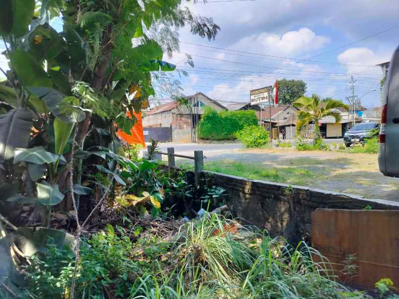 dijual tanah pendowoharjo sewon bantul