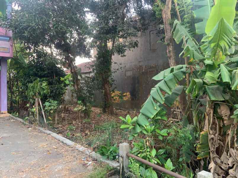 dijual tanah pendowoharjo sewon bantul