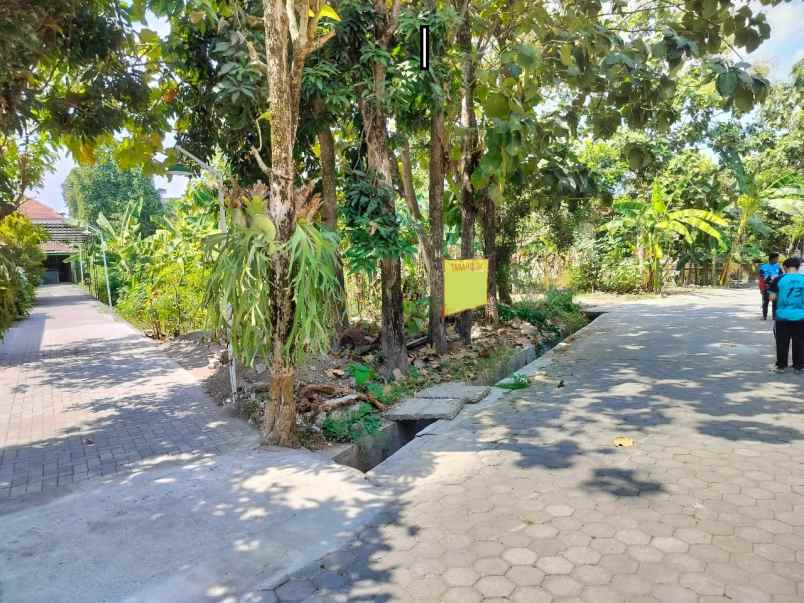 dijual tanah pendowoharjo sewon bantul
