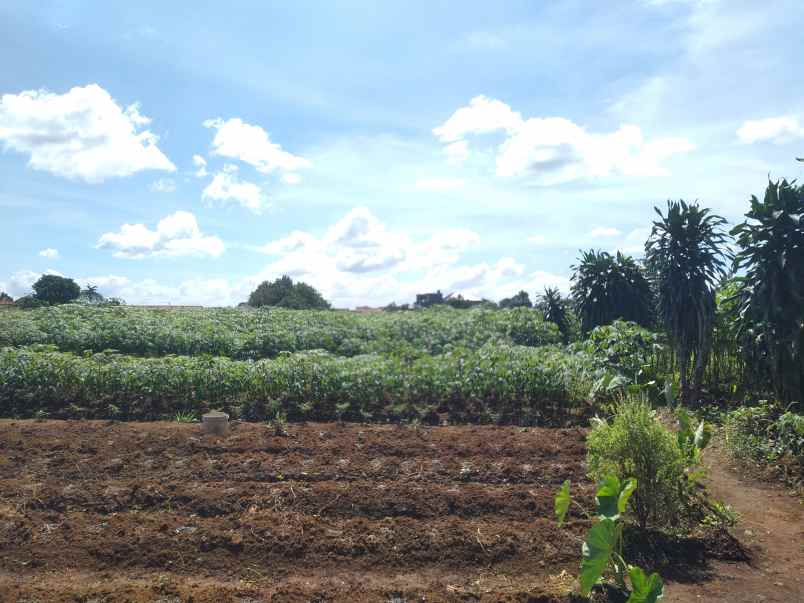 dijual tanah perumahan menteng asri