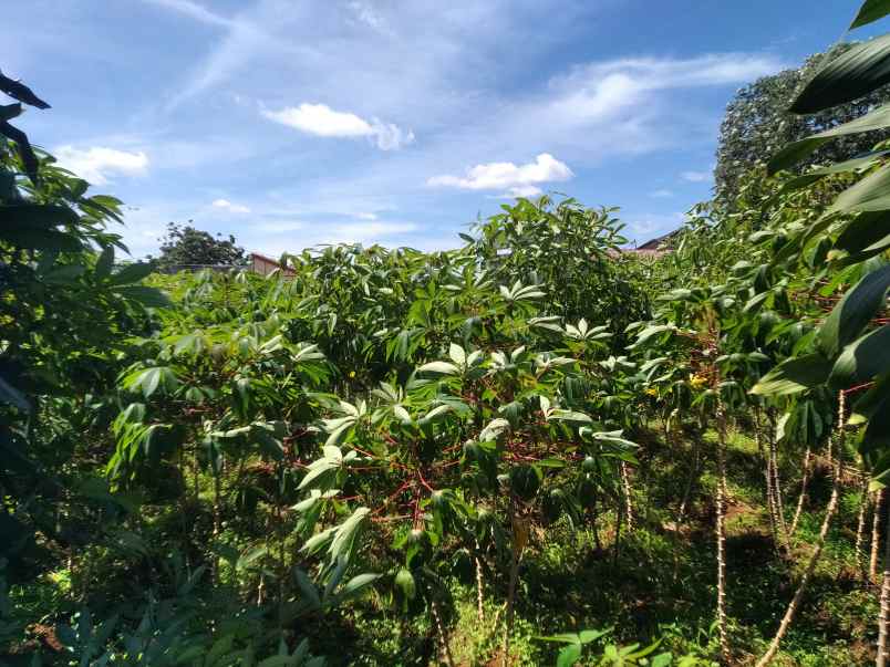 dijual tanah perumahan menteng asri