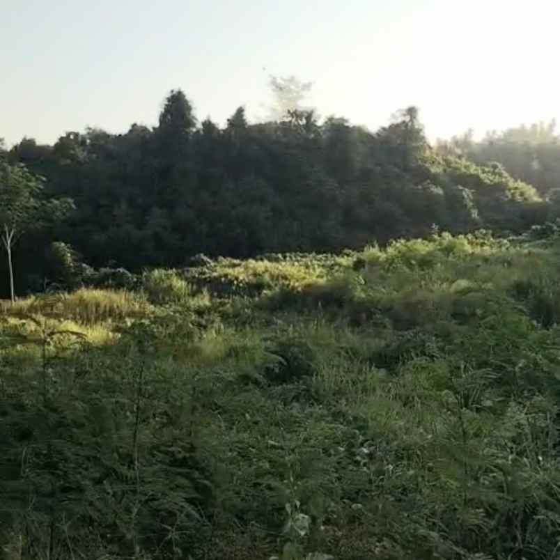 dijual tanah perumahan wira kumala asri