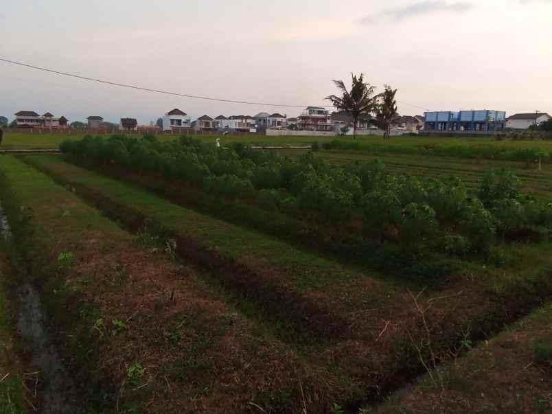 dijual tanah premium wilayah berkembang