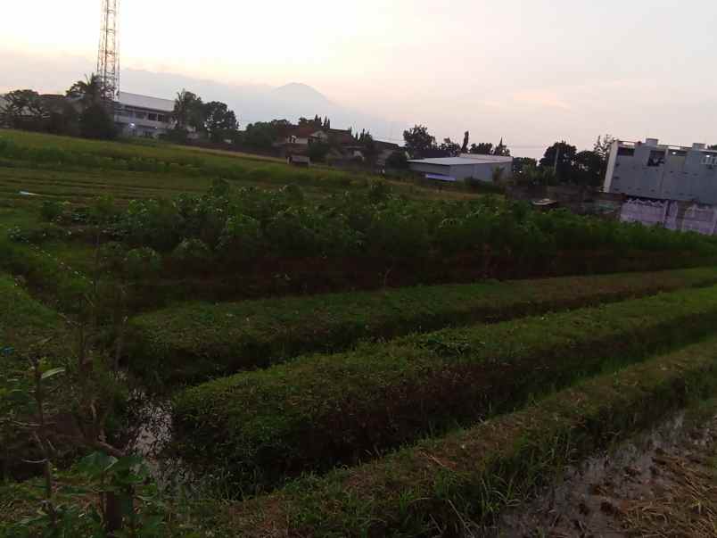 dijual tanah premium wilayah berkembang