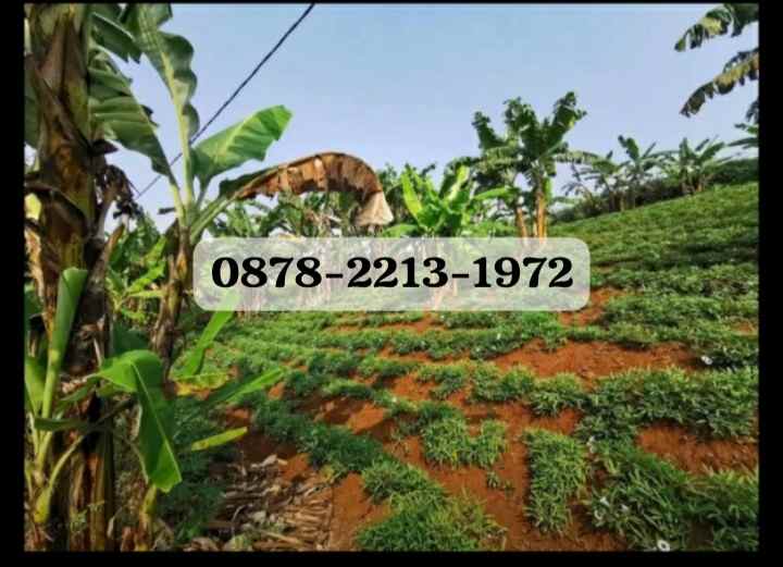 dijual tanah sayap cikutra kab bandung