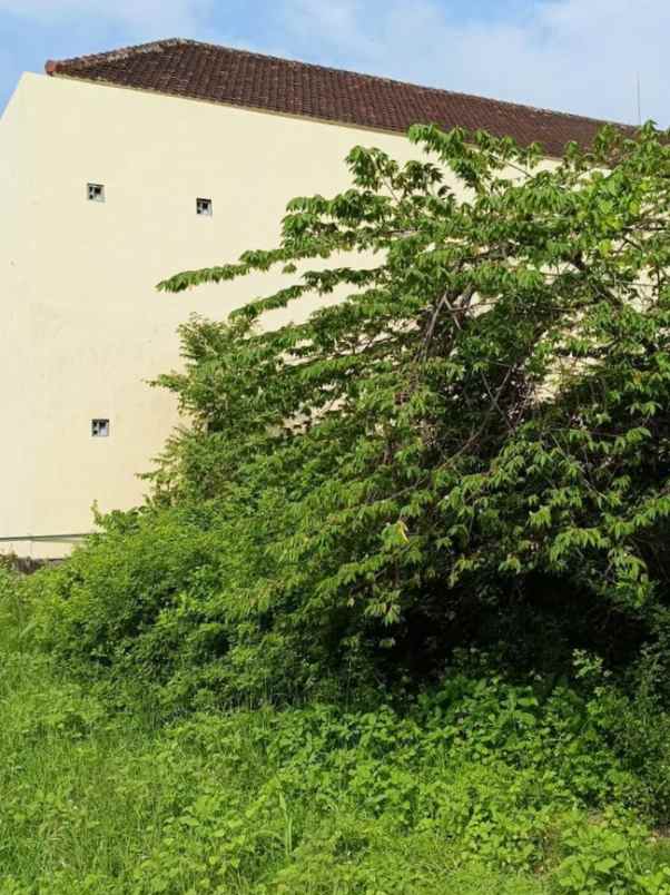 dijual tanah sidakarya