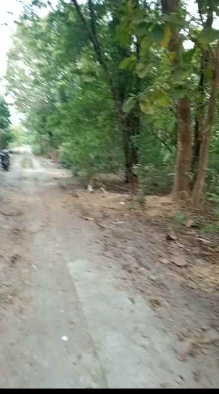 dijual tanah sidoharjo sragen jawa tengah