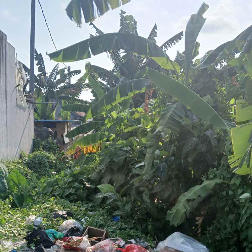 dijual tanah tangkuban perahu