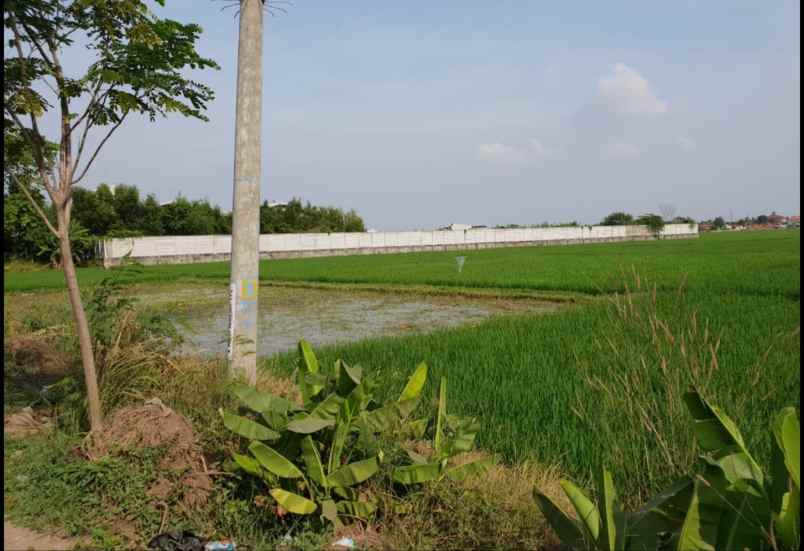 dijual tanah tanjung pura karawang barat