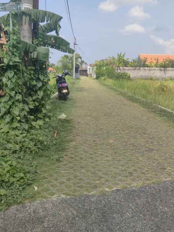dijual tanah tegal cupek
